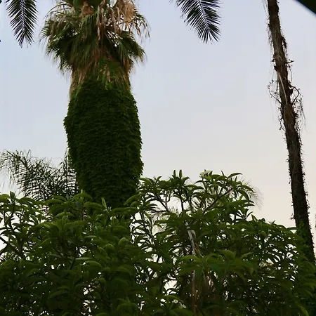 Acquabianca * アーチ・カステッロ