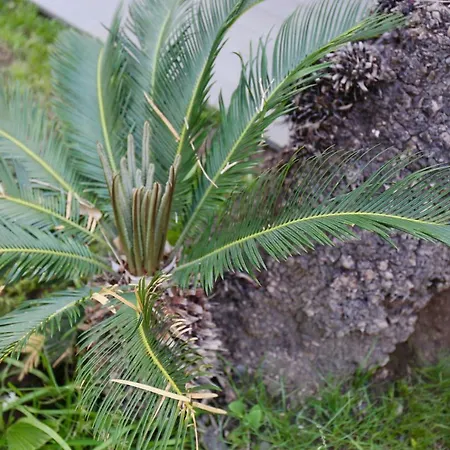 Acquabianca * Aci Castello