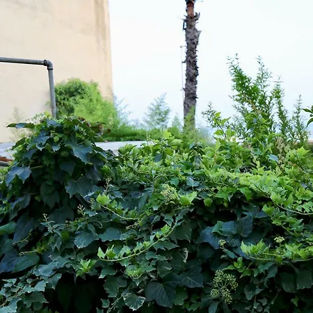 Dom wakacyjny Acquabianca *